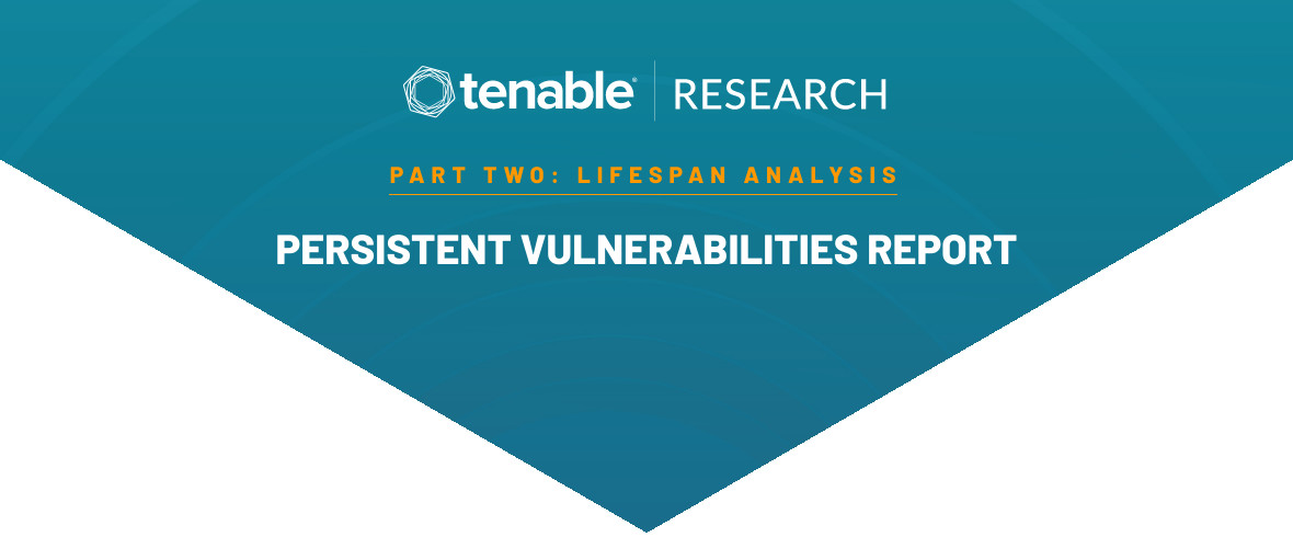 What Is the Lifespan of a Vulnerability? image