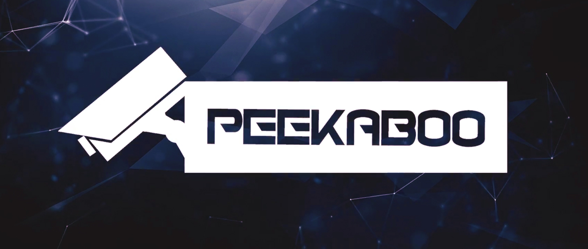 Peekaboo: Don’t Be Surprised by These Not So Candid Cameras image