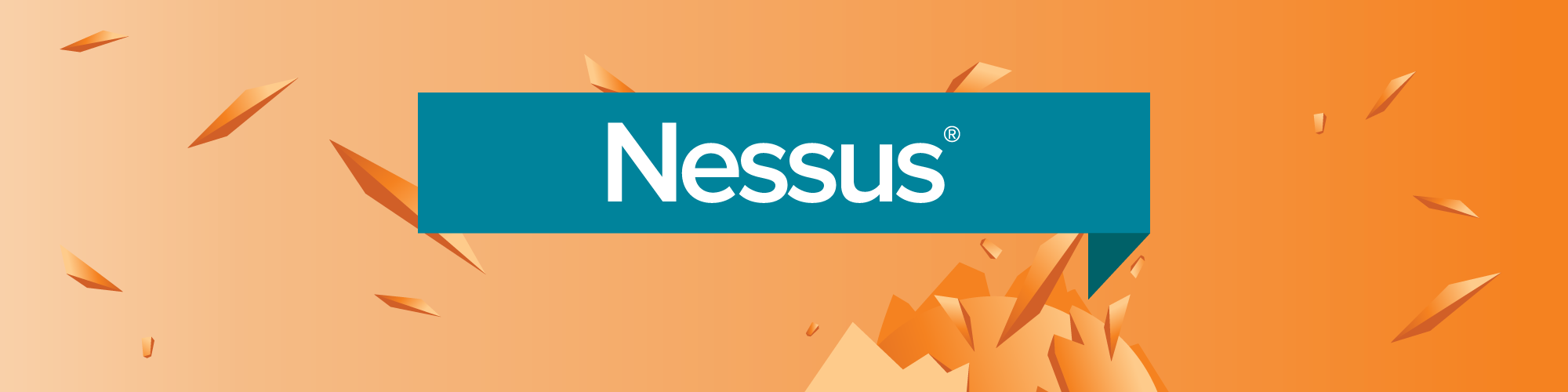 Introducing Nessus Manager and Nessus Cloud image